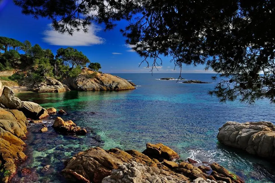 Sun D'Aro Appartement Castell-Castell-Platja d'Aro